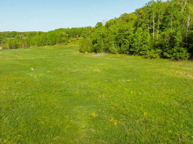 Boyceville Land Real Estate