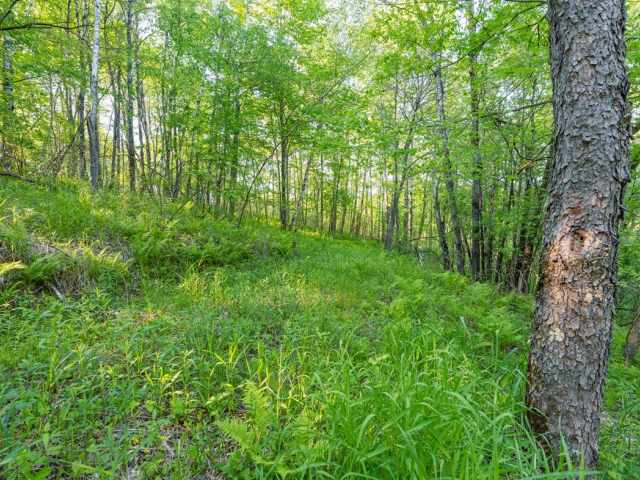 Boyceville Land Real Estate