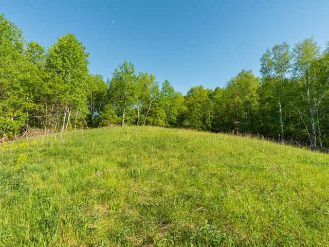 Boyceville Land Real Estate