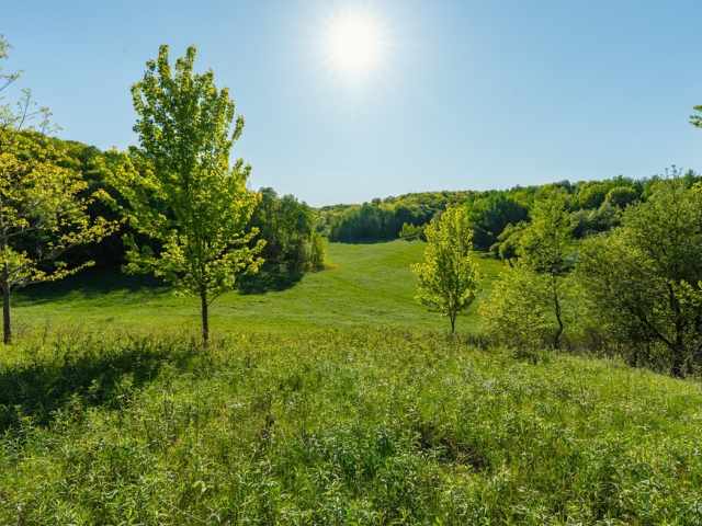 Boyceville Land Real Estate