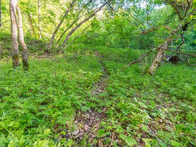 Boyceville Land Real Estate
