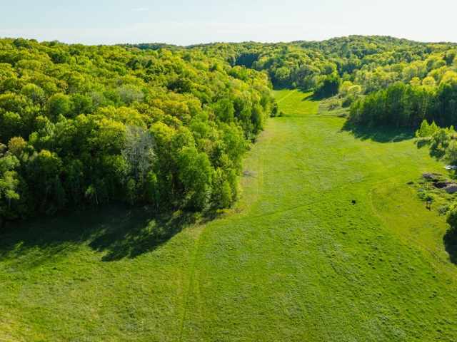 Boyceville Land Real Estate
