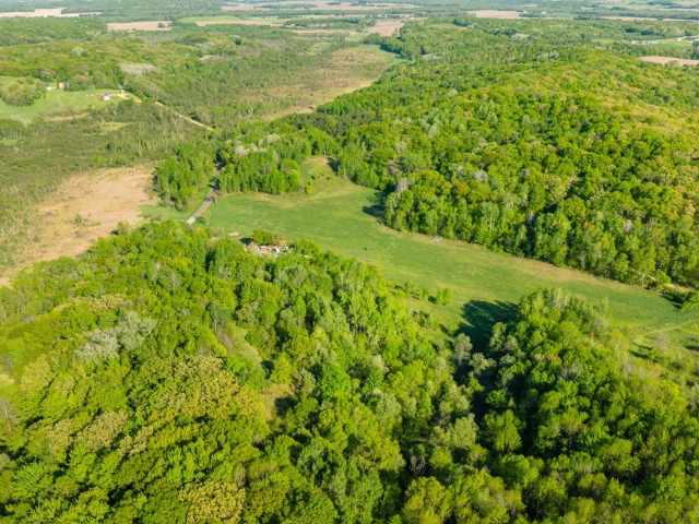 Boyceville Land Real Estate