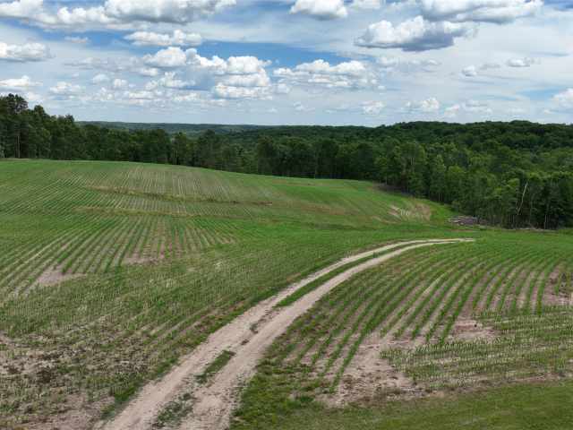 Downing Land Real Estate
