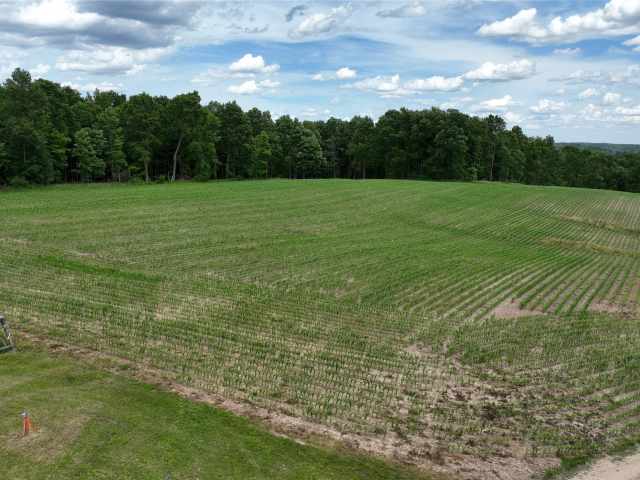 Downing Land Real Estate