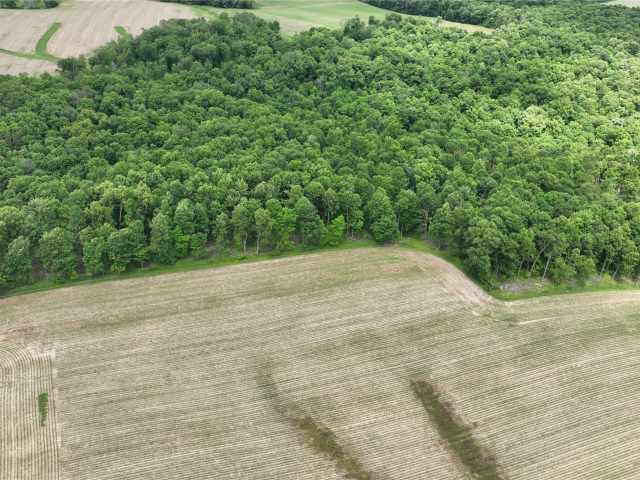 Downing Land Real Estate