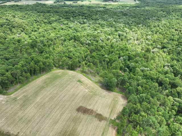 Downing Land Real Estate
