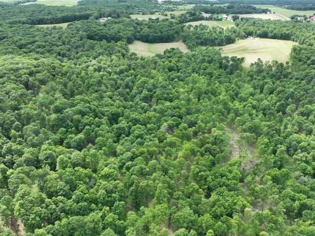 Downing Land Real Estate