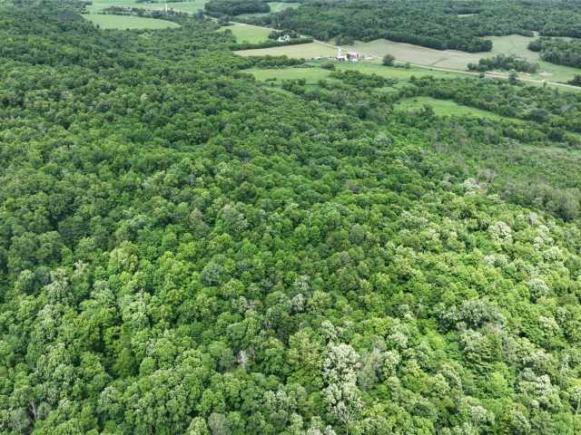 Downing Land Real Estate
