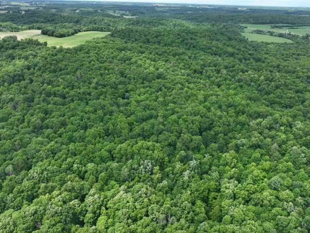 Downing Land Real Estate