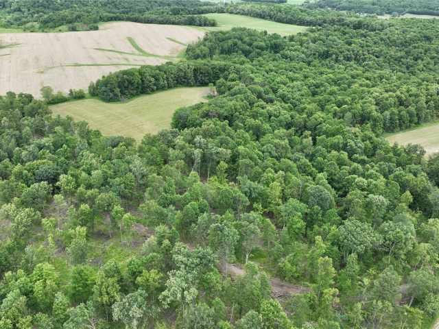 Downing Land Real Estate