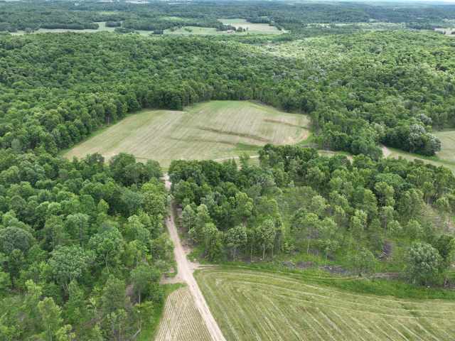 Downing Land Real Estate
