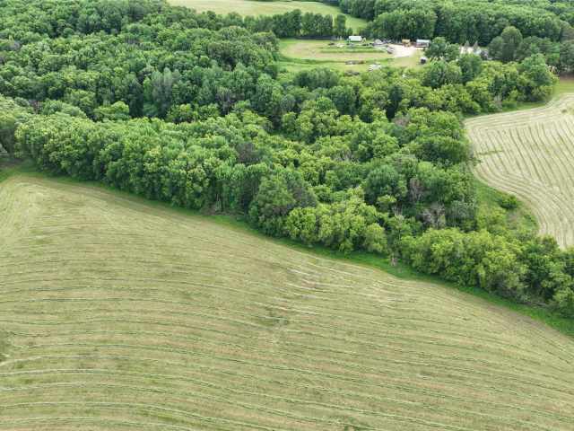 Downing Land Real Estate
