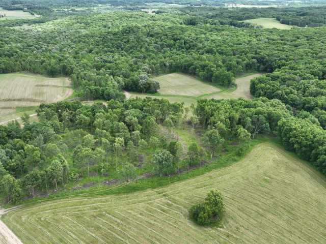 Downing Land Real Estate