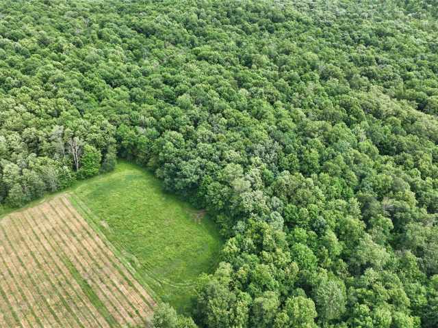 Downing Land Real Estate