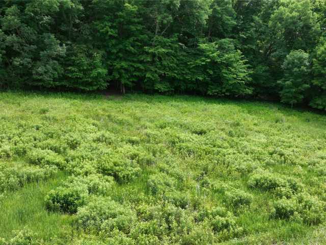 Downing Land Real Estate