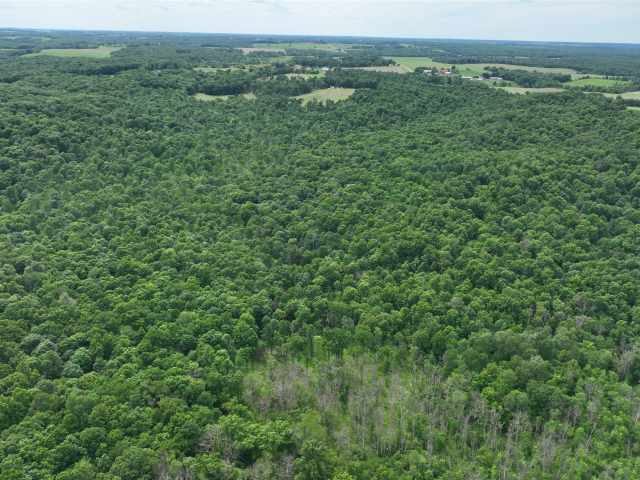 Downing Land Real Estate