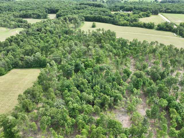 Downing Land Real Estate