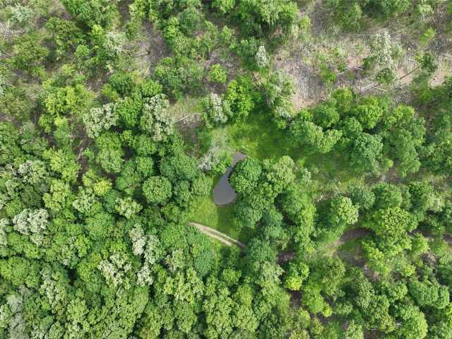 Downing Land Real Estate