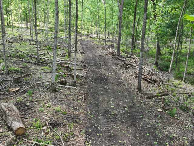 Downing Land Real Estate