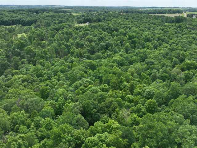 Downing Land Real Estate