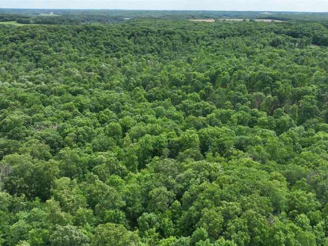 Downing Land Real Estate