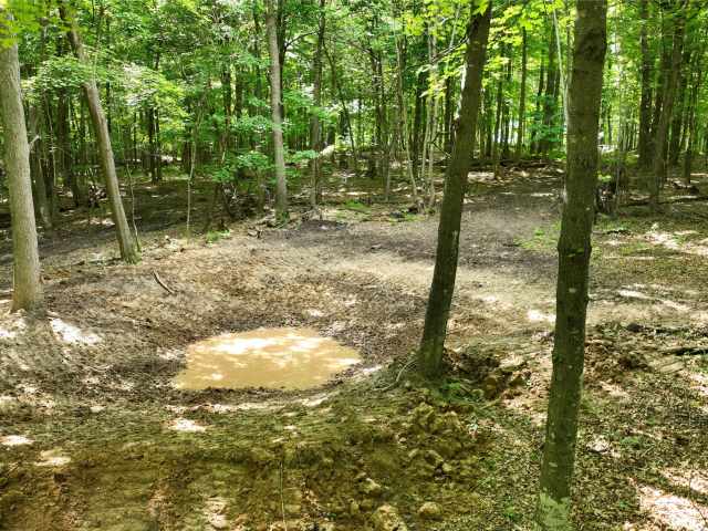 Downing Land Real Estate