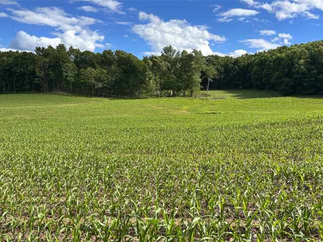 Downing Land Real Estate