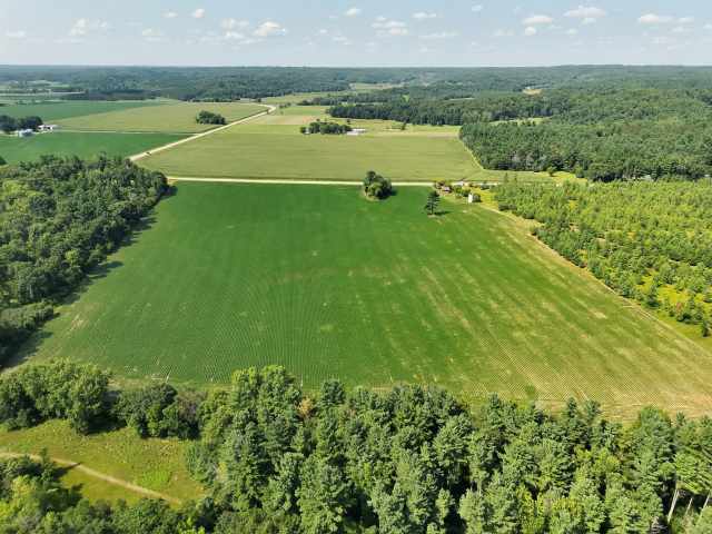 Boyceville Land Real Estate