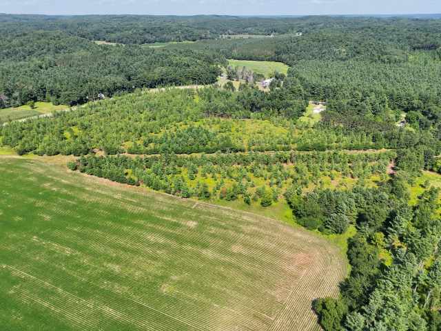 Boyceville Land Real Estate