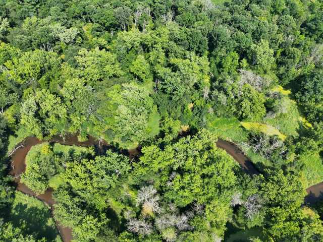 Boyceville Land Real Estate