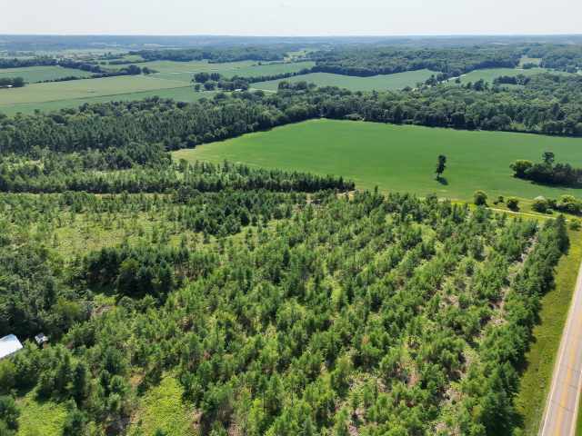 Boyceville Land Real Estate