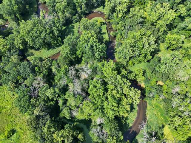 Boyceville Land Real Estate