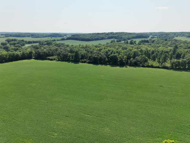 Boyceville Land Real Estate