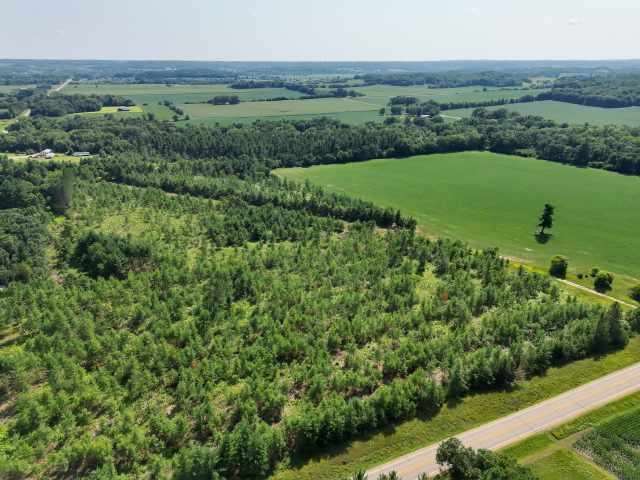 Boyceville Land Real Estate