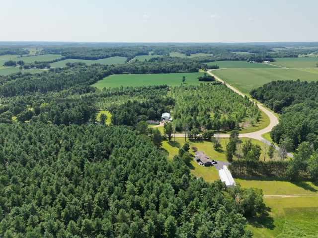 Boyceville Land Real Estate