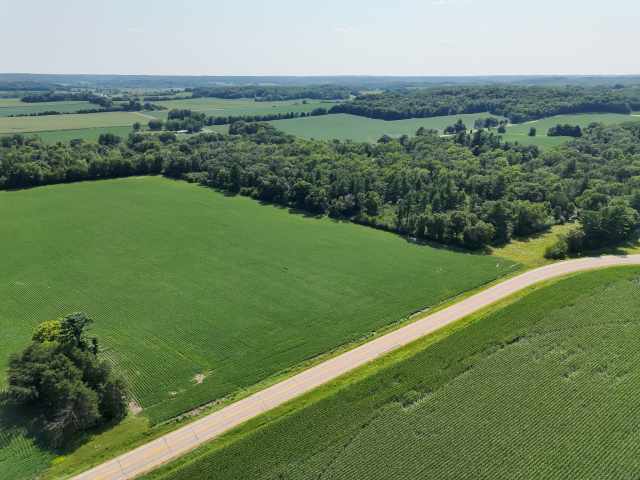 Boyceville Land Real Estate