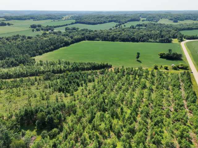 Boyceville Land Real Estate