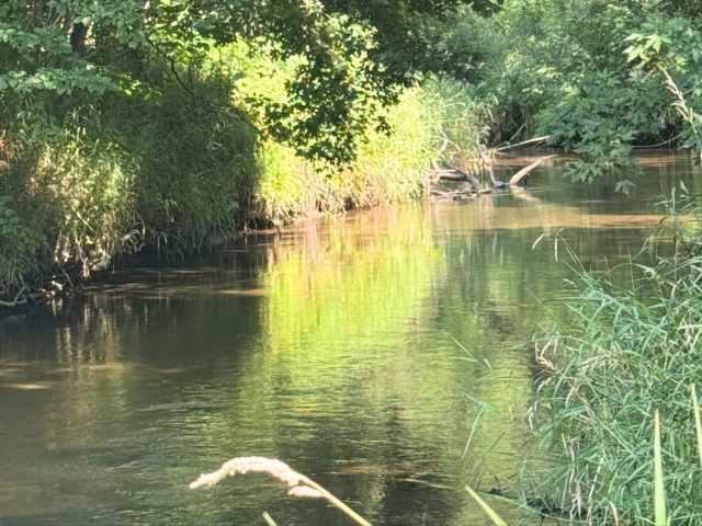 Boyceville Land Real Estate