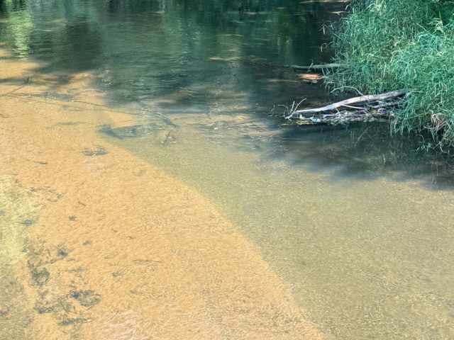 Boyceville Land Real Estate