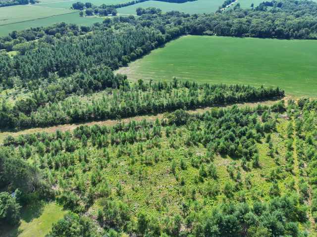 Boyceville Land Real Estate