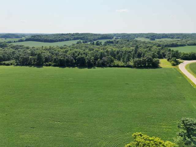 Boyceville Land Real Estate