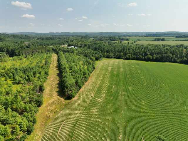 Boyceville Land Real Estate