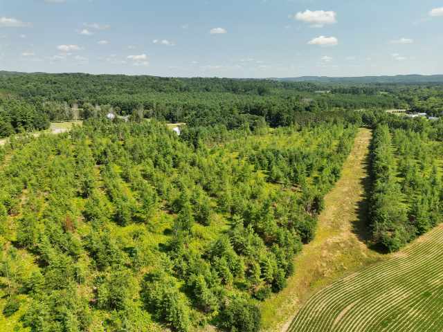 Boyceville Land Real Estate
