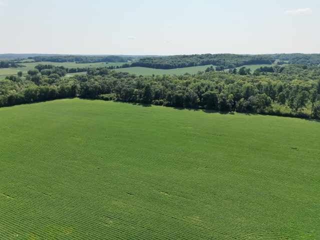 Boyceville Land Real Estate