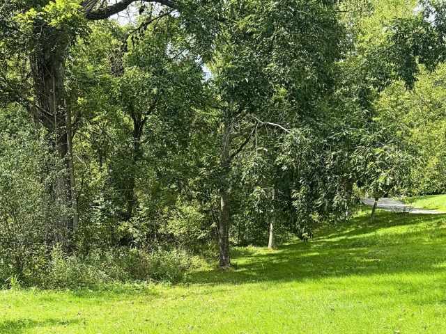 Menomonie Residential Real Estate