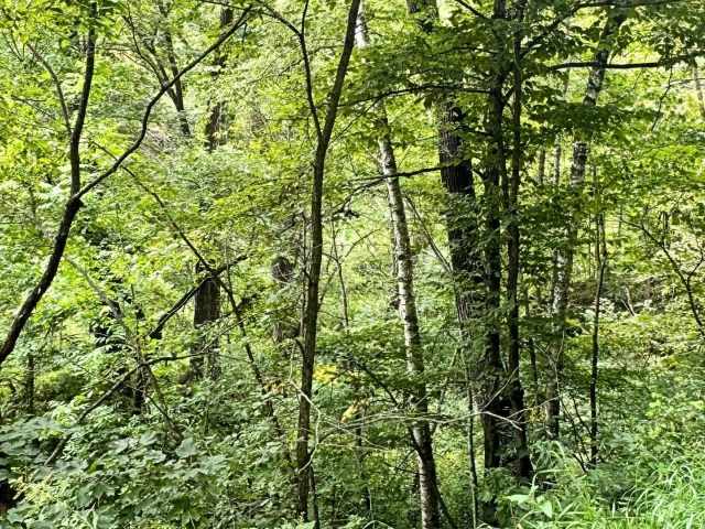 Menomonie Residential Real Estate