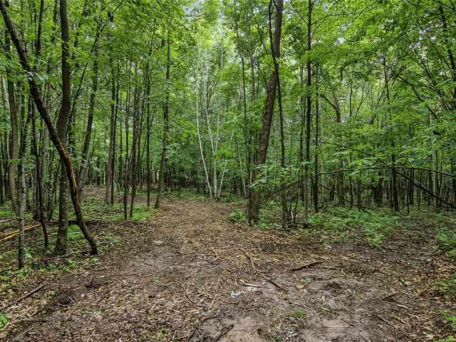 Clayton Land Real Estate