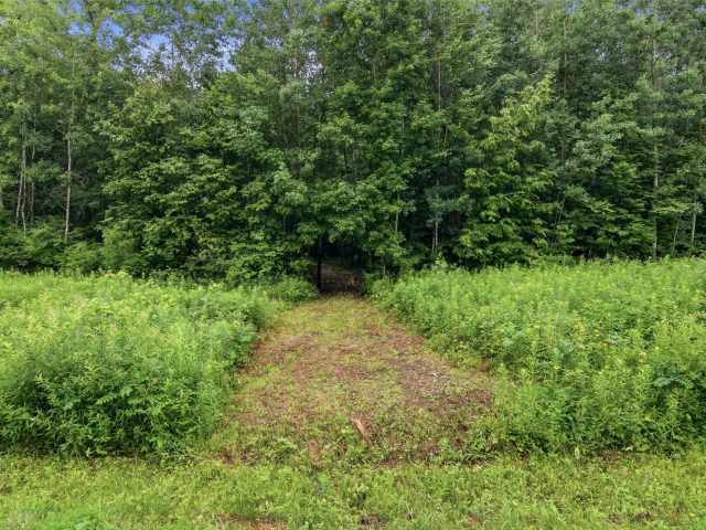 Clayton Land Real Estate