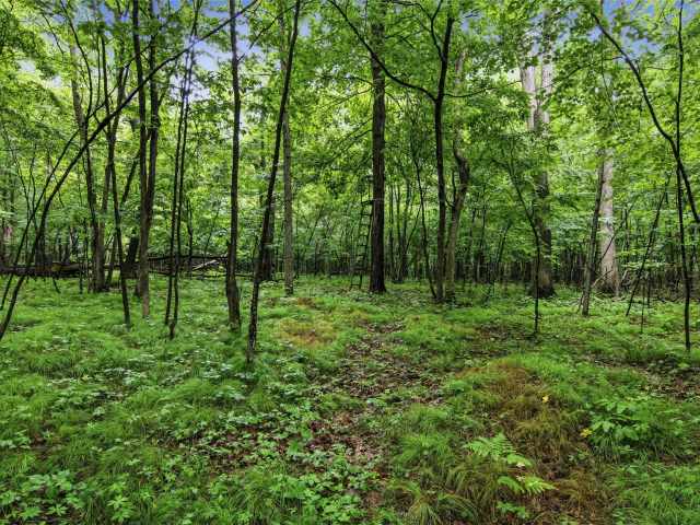 Clayton Land Real Estate